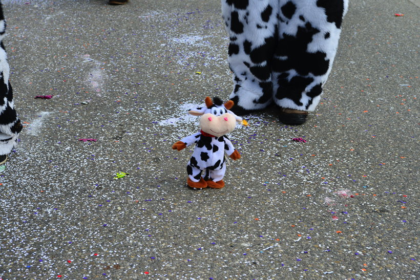 Brauchtum schwäbisch alemannische Fastnacht