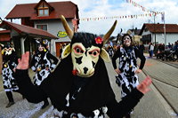 Brauchtum schwäbisch alemannische Fastnacht