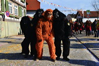 Brauchtum schwäbisch alemannische Fastnacht