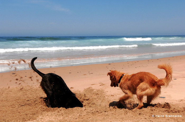 Portugal - Algarve