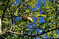 Portugal - Algarve