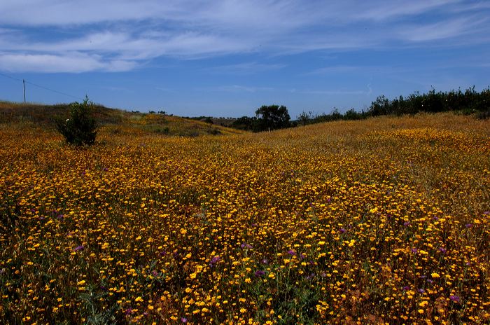 Portugal - Algarve