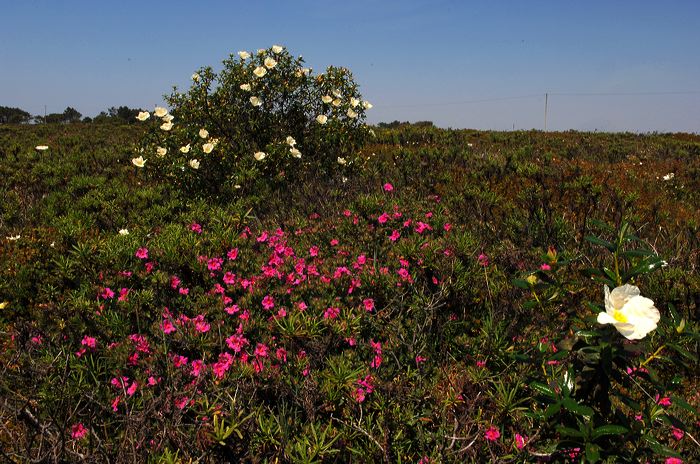 Portugal - Algarve