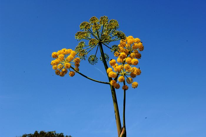 Portugal - Algarve