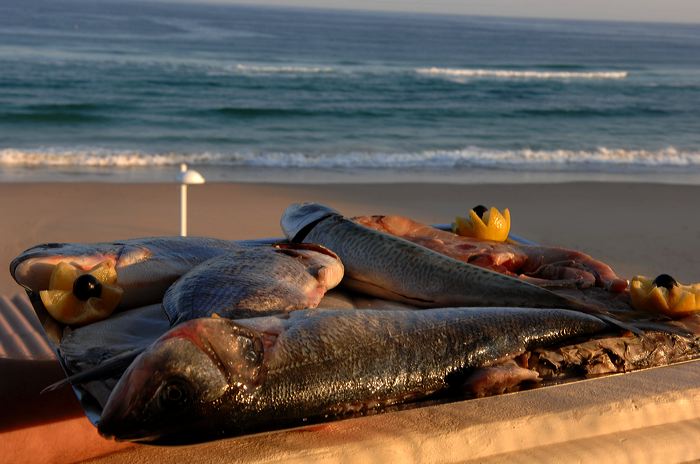 Portugal - Algarve