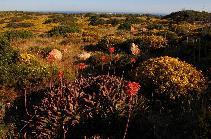 Portugal - Algarve