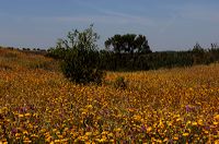 Portugal - Algarve