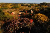 Portugal - Algarve