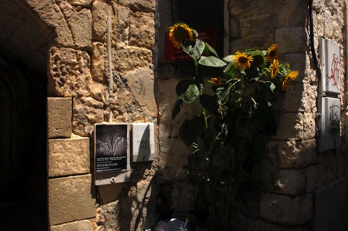 Arles, Provence, Camargue, Alpilles