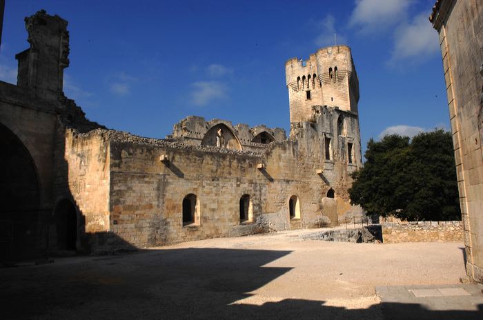 Arles, Provence, Camargue, Alpilles