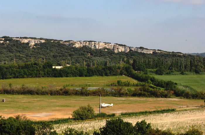 Arles, Provence, Camargue, Alpilles