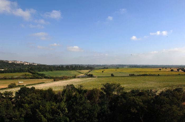 Arles, Provence, Camargue, Alpilles