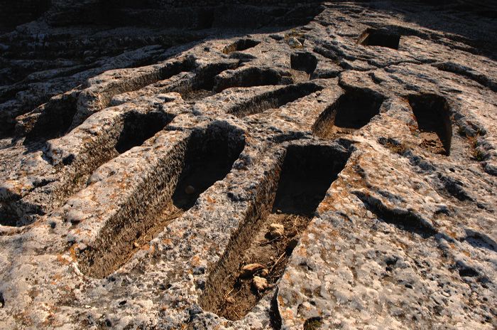 Arles, Provence, Camargue, Alpilles