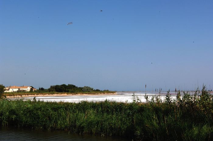 Arles, Provence, Camargue, Alpilles