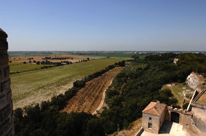 Arles, Provence, Camargue, Alpilles