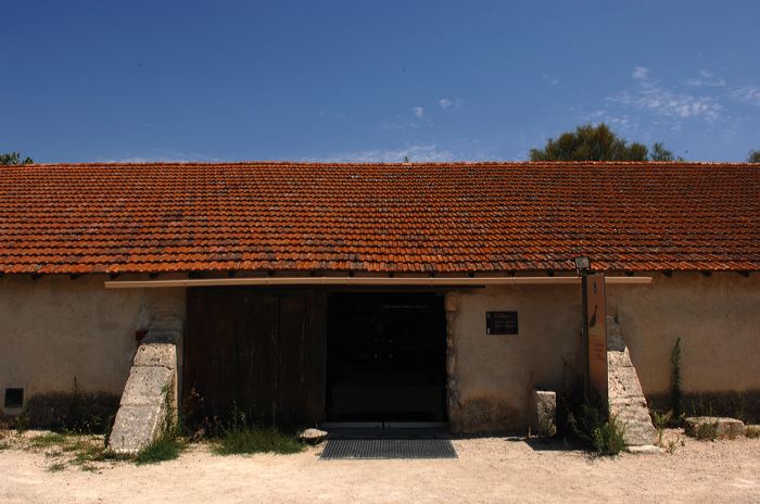 Arles, Provence, Camargue, Alpilles