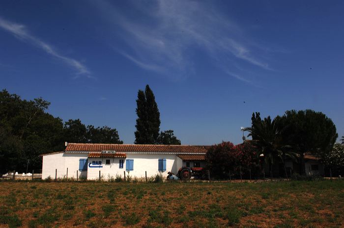 Arles, Provence, Camargue, Alpilles