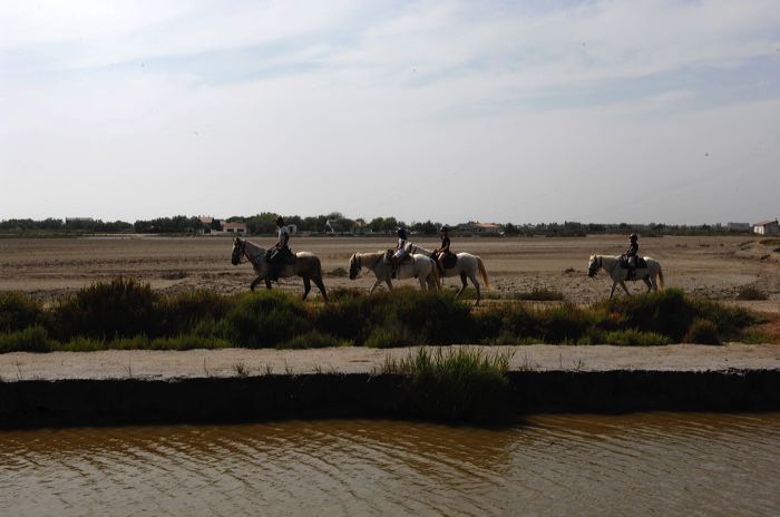 Arles, Provence, Camargue, Alpilles