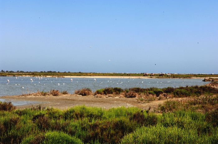 Arles, Provence, Camargue, Alpilles