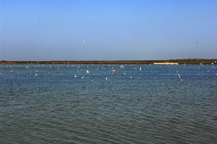 Arles, Provence, Camargue, Alpilles