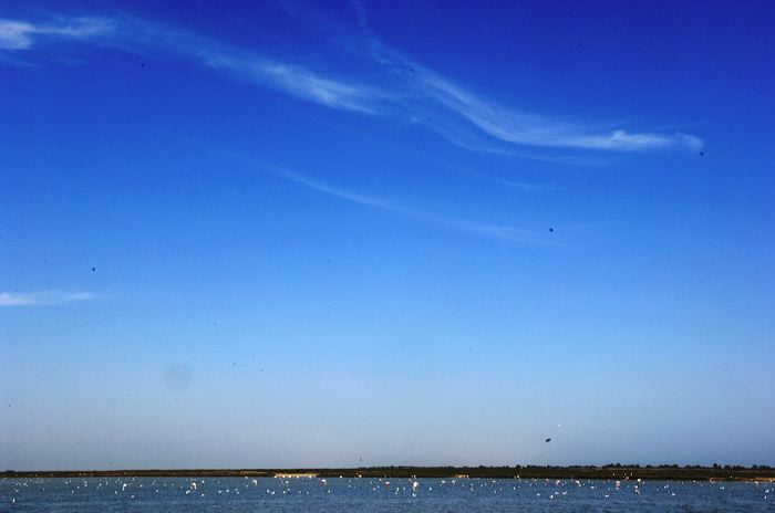 Arles, Provence, Camargue, Alpilles