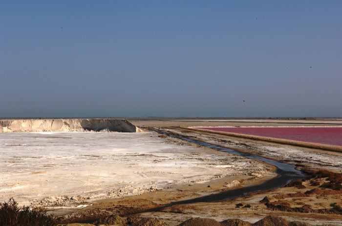 Arles, Provence, Camargue, Alpilles