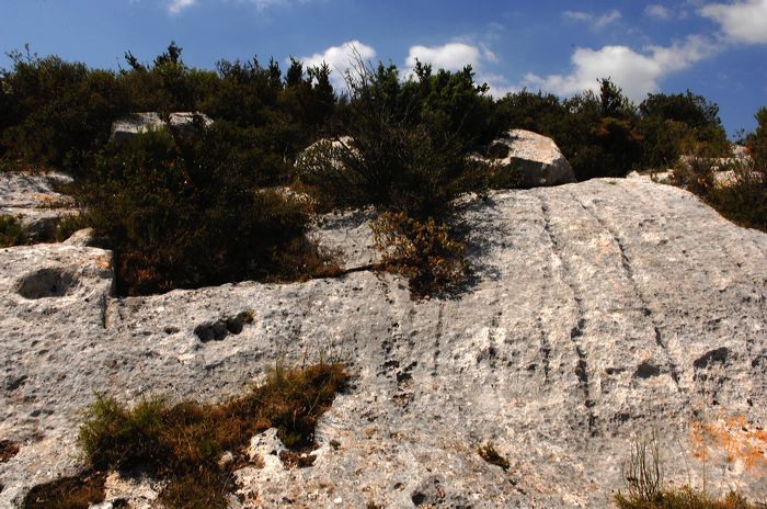 Arles, Provence, Camargue, Alpilles