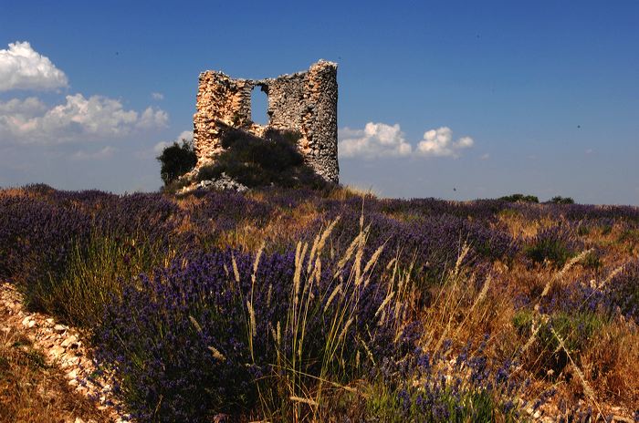 Arles, Provence, Camargue, Alpilles