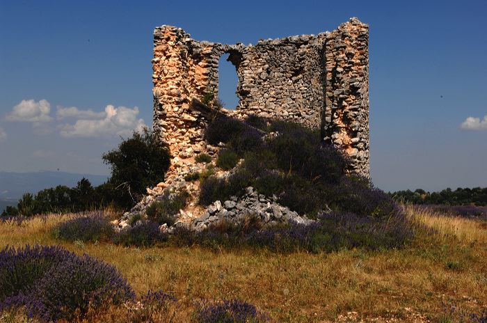 Arles, Provence, Camargue, Alpilles