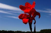 Arles, Provence, Camargue, Alpilles