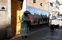 Arles, Provence, Camargue, Alpilles