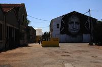 Arles, Provence, Camargue, Alpilles