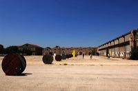 Arles, Provence, Camargue, Alpilles