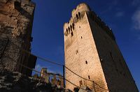 Arles, Provence, Camargue, Alpilles