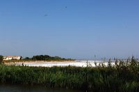 Arles, Provence, Camargue, Alpilles