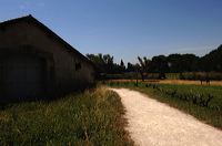 Arles, Provence, Camargue, Alpilles