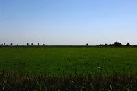 Arles, Provence, Camargue, Alpilles