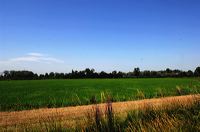 Arles, Provence, Camargue, Alpilles