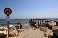 Arles, Provence, Camargue, Alpilles