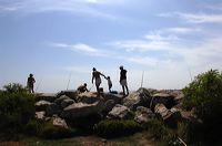 Arles, Provence, Camargue, Alpilles