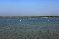 Arles, Provence, Camargue, Alpilles