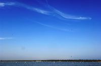 Arles, Provence, Camargue, Alpilles