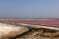 Arles, Provence, Camargue, Alpilles