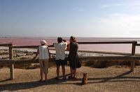 Arles, Provence, Camargue, Alpilles