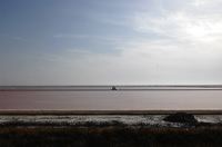 Arles, Provence, Camargue, Alpilles