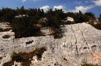 Arles, Provence, Camargue, Alpilles