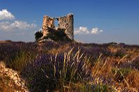 Arles, Provence, Camargue, Alpilles