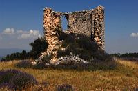 Arles, Provence, Camargue, Alpilles