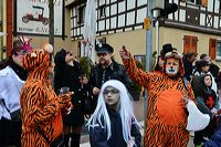 Mörfelden-Walldorf Helau, feiert die Fastnacht 2014 mit einem Faschingsumzug