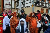 Mörfelden-Walldorf Helau, feiert die Fastnacht 2014 mit einem Faschingsumzug